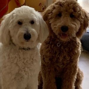 Meet your Posher, Mary